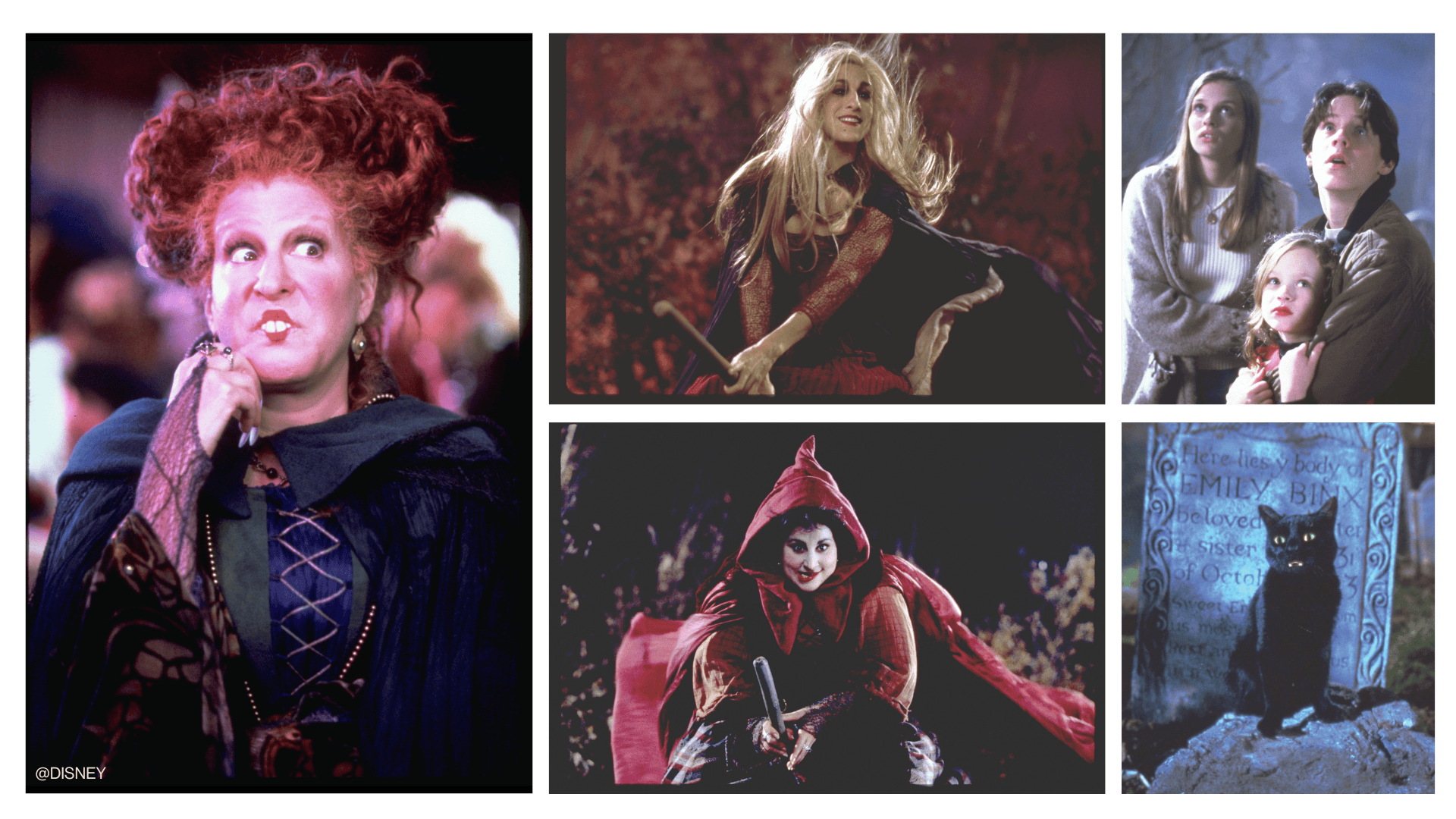 Hocus Pocus film still